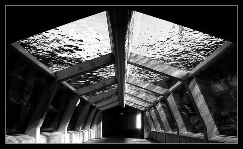 Kliknij na zdjęcie, żeby zobaczyć w pełnych wymiarach