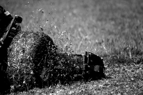 Kliknij na zdjęcie, żeby zobaczyć w pełnych wymiarach