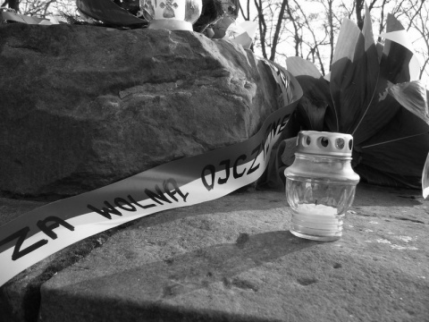 Kliknij na zdjęcie, żeby zobaczyć w pełnych wymiarach