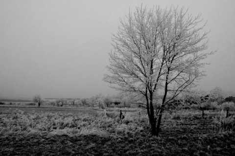 Kliknij na zdjęcie, żeby zobaczyć w pełnych wymiarach
