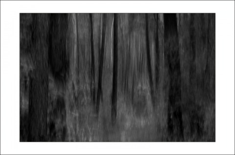 Kliknij na zdjęcie, żeby zobaczyć w pełnych wymiarach