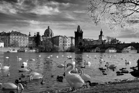 Kliknij na zdjęcie, żeby zobaczyć w pełnych wymiarach