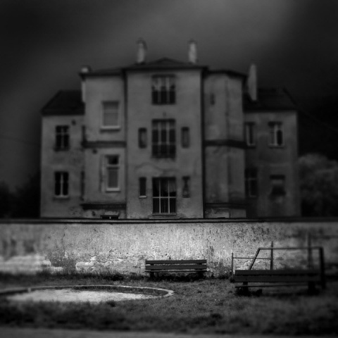 Kliknij na zdjęcie, żeby zobaczyć w pełnych wymiarach