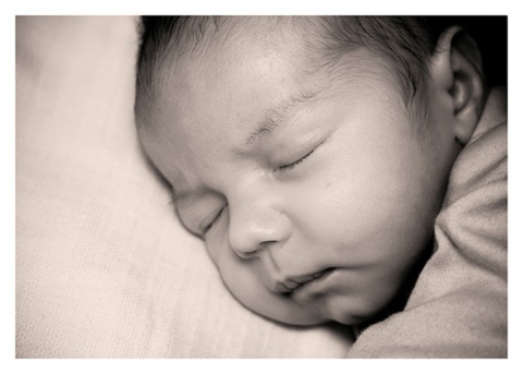 Kliknij na zdjęcie, żeby zobaczyć w pełnych wymiarach