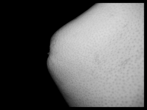 Kliknij na zdjęcie, żeby zobaczyć w pełnych wymiarach