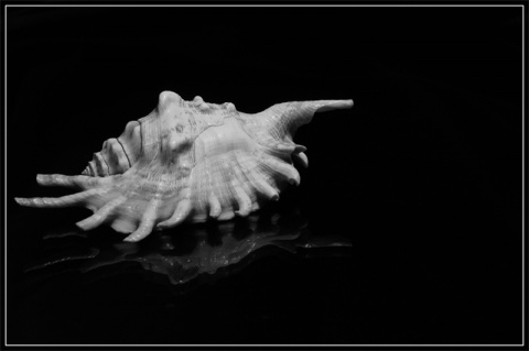 Kliknij na zdjęcie, żeby zobaczyć w pełnych wymiarach