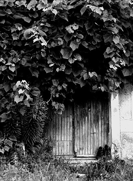 Kliknij na zdjęcie, żeby zobaczyć w pełnych wymiarach