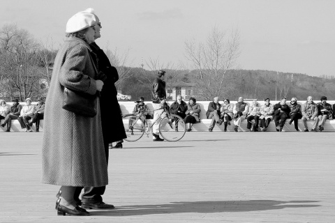 Kliknij na zdjęcie, żeby zobaczyć w pełnych wymiarach