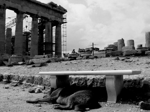 Kliknij na zdjęcie, żeby zobaczyć w pełnych wymiarach