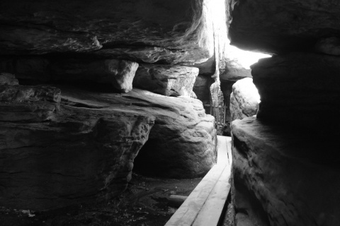 Kliknij na zdjęcie, żeby zobaczyć w pełnych wymiarach