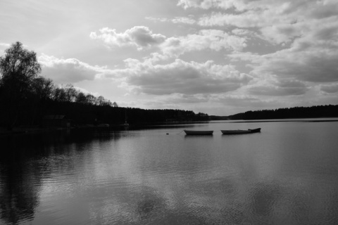 Kliknij na zdjęcie, żeby zobaczyć w pełnych wymiarach