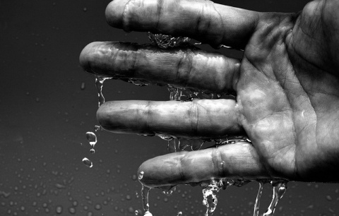 Kliknij na zdjęcie, żeby zobaczyć w pełnych wymiarach