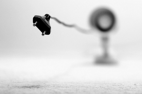 Kliknij na zdjęcie, żeby zobaczyć w pełnych wymiarach