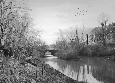 Kliknij na zdjęcie, żeby zobaczyć w pełnych wymiarach