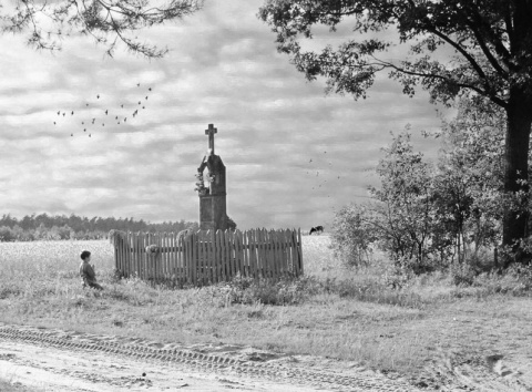Kliknij na zdjęcie, żeby zobaczyć w pełnych wymiarach