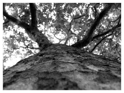 Kliknij na zdjęcie, żeby zobaczyć w pełnych wymiarach