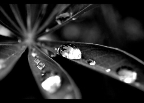 Kliknij na zdjęcie, żeby zobaczyć w pełnych wymiarach