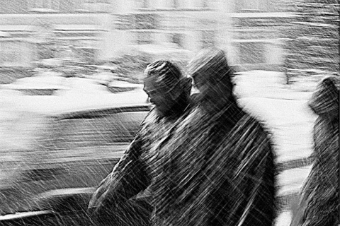 Kliknij na zdjęcie, żeby zobaczyć w pełnych wymiarach