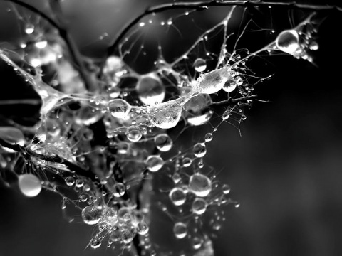 Kliknij na zdjęcie, żeby zobaczyć w pełnych wymiarach