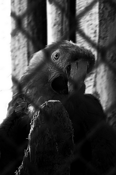 Kliknij na zdjęcie, żeby zobaczyć w pełnych wymiarach