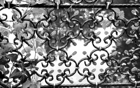 Kliknij na zdjęcie, żeby zobaczyć w pełnych wymiarach