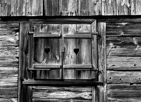 Kliknij na zdjęcie, żeby zobaczyć w pełnych wymiarach