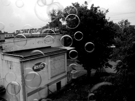 Kliknij na zdjęcie, żeby zobaczyć w pełnych wymiarach