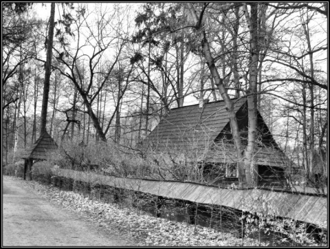 Kliknij na zdjęcie, żeby zobaczyć w pełnych wymiarach