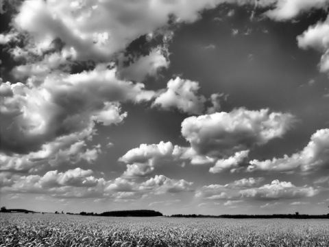 Kliknij na zdjęcie, żeby zobaczyć w pełnych wymiarach
