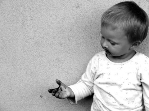 Kliknij na zdjęcie, żeby zobaczyć w pełnych wymiarach