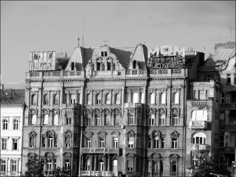 Kliknij na zdjęcie, żeby zobaczyć w pełnych wymiarach