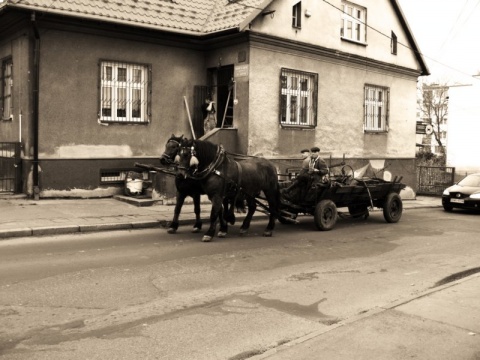 Kliknij na zdjęcie, żeby zobaczyć w pełnych wymiarach