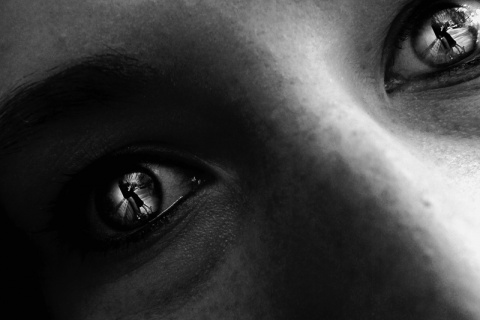 Kliknij na zdjęcie, żeby zobaczyć w pełnych wymiarach