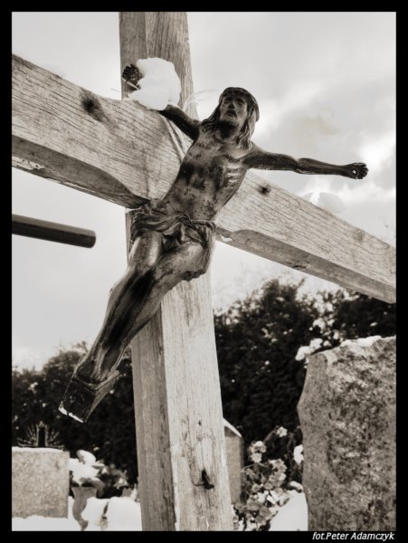 Kliknij na zdjęcie, żeby zobaczyć w pełnych wymiarach