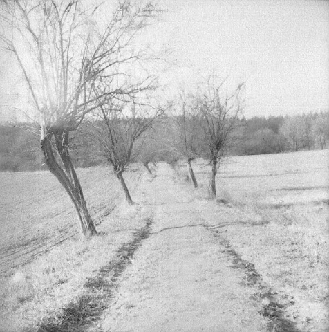 Kliknij na zdjęcie, żeby zobaczyć w pełnych wymiarach