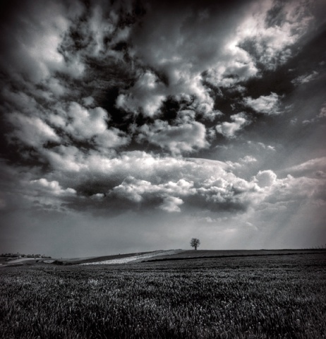 Kliknij na zdjęcie, żeby zobaczyć w pełnych wymiarach