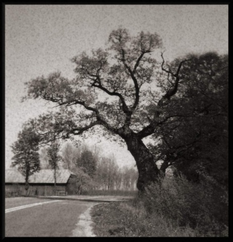 Kliknij na zdjęcie, żeby zobaczyć w pełnych wymiarach