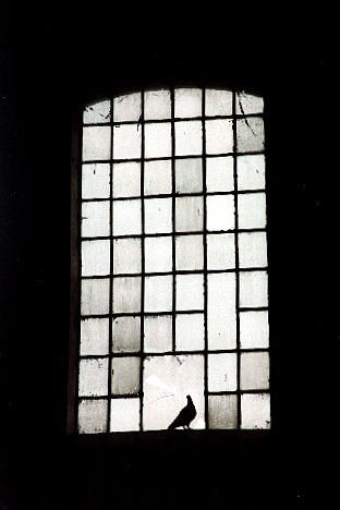 Kliknij na zdjęcie, żeby zobaczyć w pełnych wymiarach