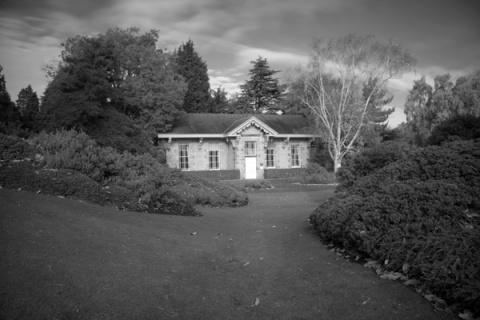 Kliknij na zdjęcie, żeby zobaczyć w pełnych wymiarach