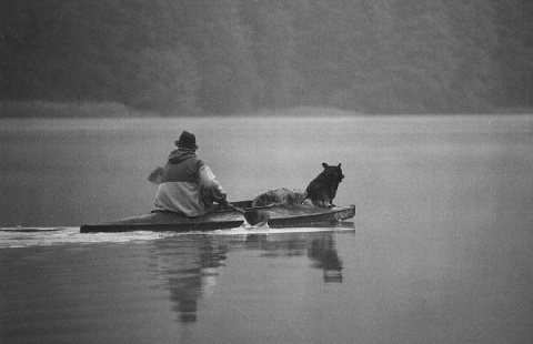 Kliknij na zdjęcie, żeby zobaczyć w pełnych wymiarach