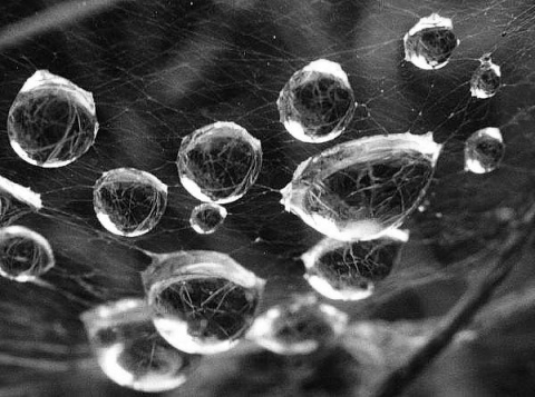 Kliknij na zdjęcie, żeby zobaczyć w pełnych wymiarach