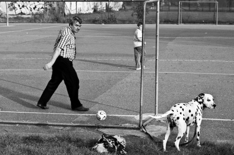 Kliknij na zdjęcie, żeby zobaczyć w pełnych wymiarach