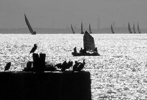 Kliknij na zdjęcie, żeby zobaczyć w pełnych wymiarach