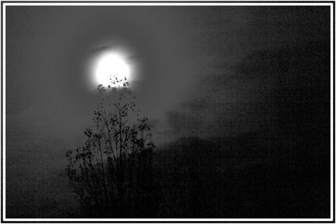 Kliknij na zdjęcie, żeby zobaczyć w pełnych wymiarach