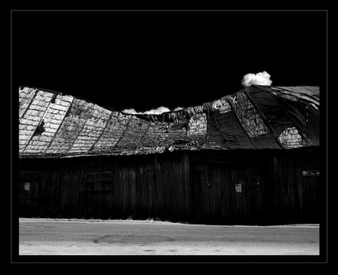 Kliknij na zdjęcie, żeby zobaczyć w pełnych wymiarach