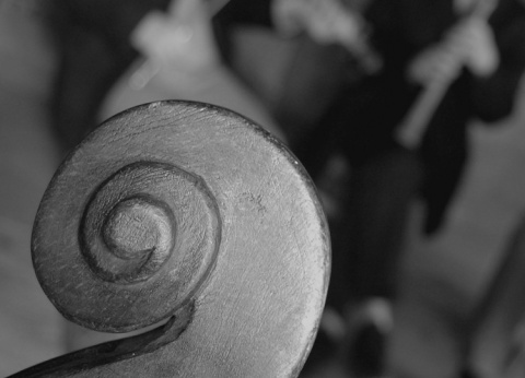 Kliknij na zdjęcie, żeby zobaczyć w pełnych wymiarach