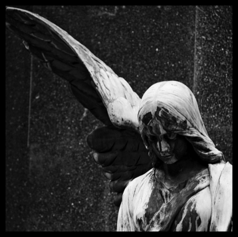 Kliknij na zdjęcie, żeby zobaczyć w pełnych wymiarach