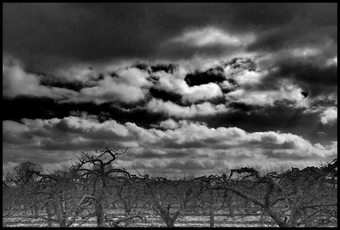 Kliknij na zdjęcie, żeby zobaczyć w pełnych wymiarach