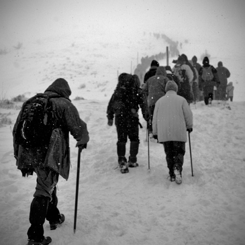 Kliknij na zdjęcie, żeby zobaczyć w pełnych wymiarach