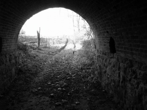 Kliknij na zdjęcie, żeby zobaczyć w pełnych wymiarach